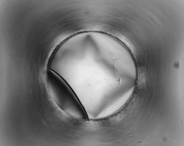 X0000103291088200809191824