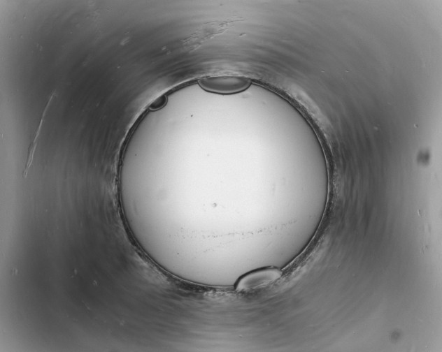 X0000103291089200809191824