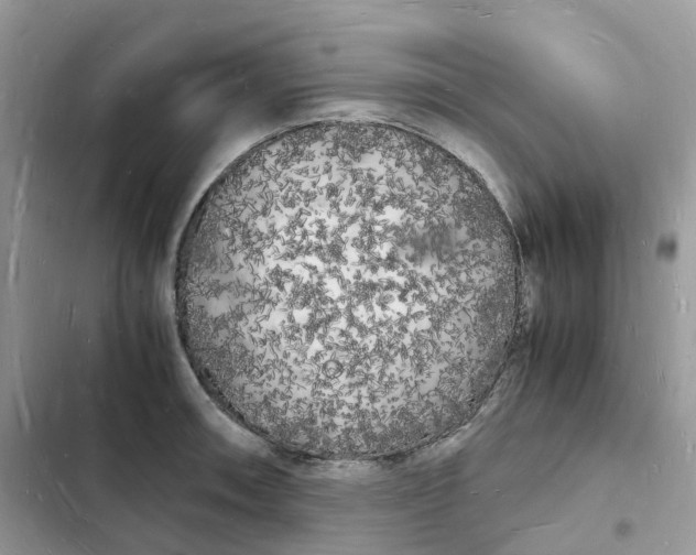 X0000103291090200809191824