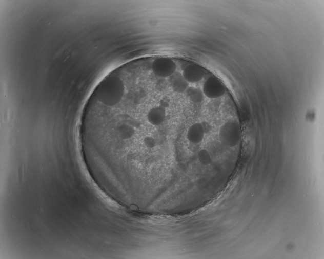 X0000103291091200809191824