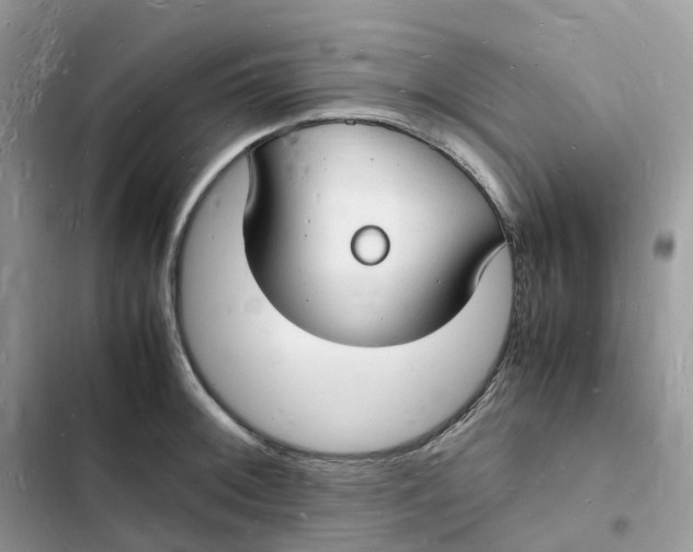 X0000103291092200809191824