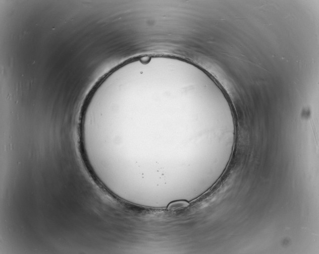 X0000103291093200809191824