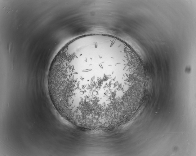 X0000103291094200809191824