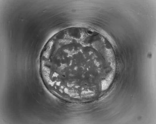 X0000103291095200809191824