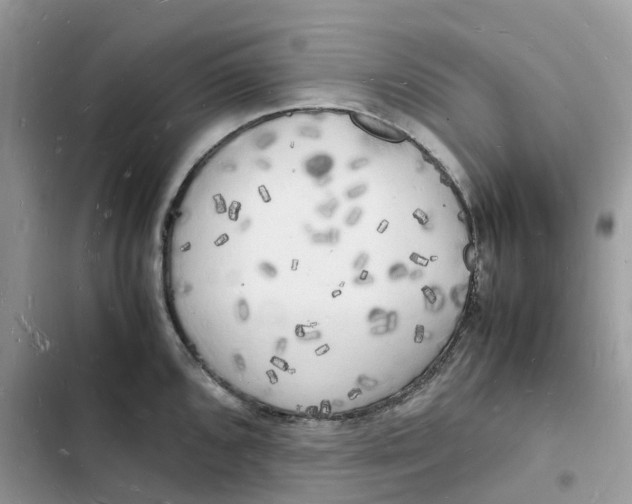 X0000103291096200809191824