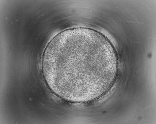 X0000103291097200809191824