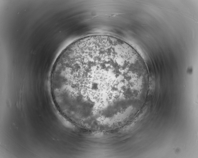 X0000103291098200809191824