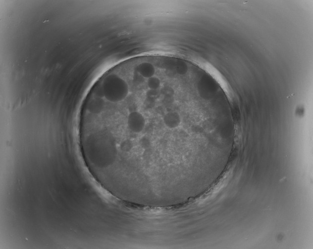 X0000103291099200809191823