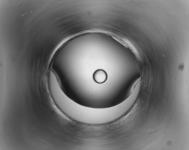 X0000103291100200809191823