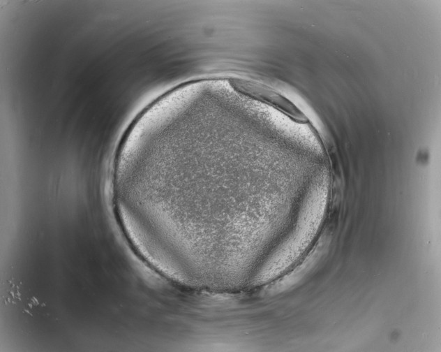 X0000103291101200809191823