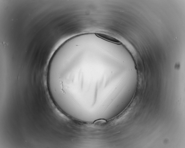 X0000103291102200809191823