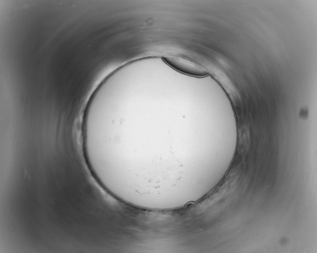 X0000103291103200809191823