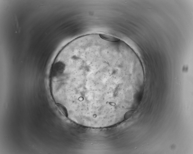 X0000103291104200809191823