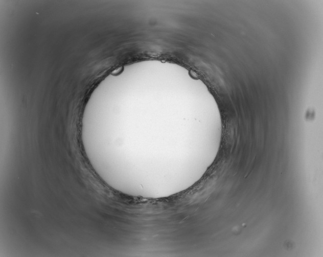 X0000103291105200809191823