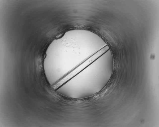 X0000103291106200809191823