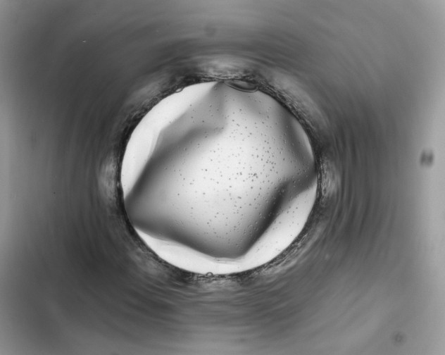 X0000103291108200809191823