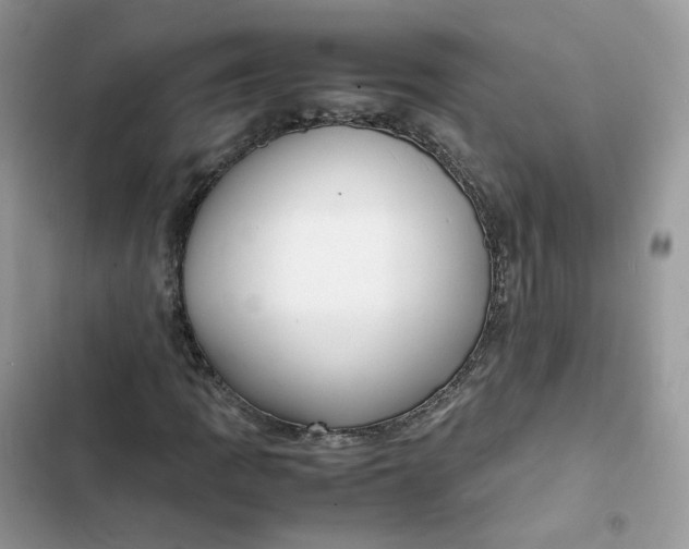 X0000103291109200809191823