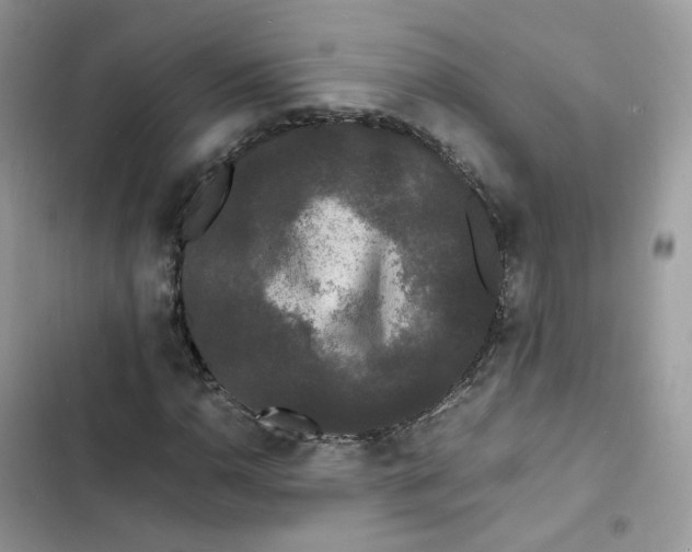 X0000103291110200809191823