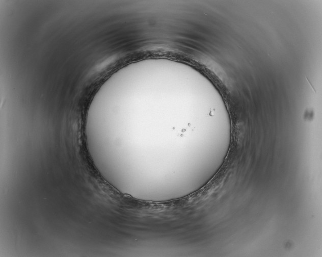 X0000103291111200809191823