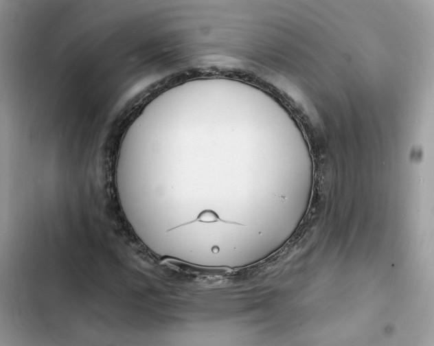 X0000103291112200809191823