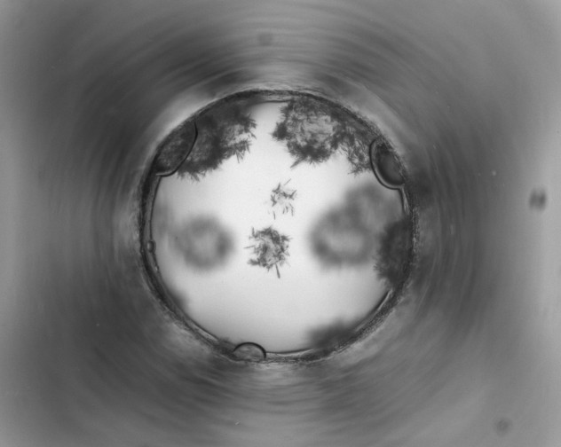 X0000103291114200809191823