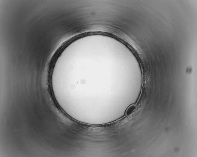 X0000103291116200809191823