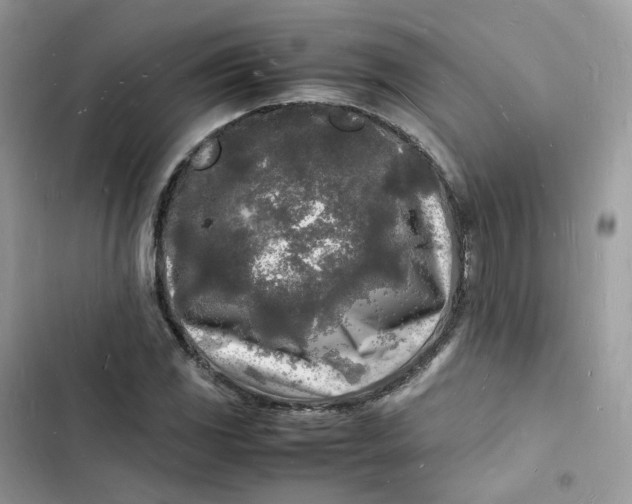 X0000103291117200809191823