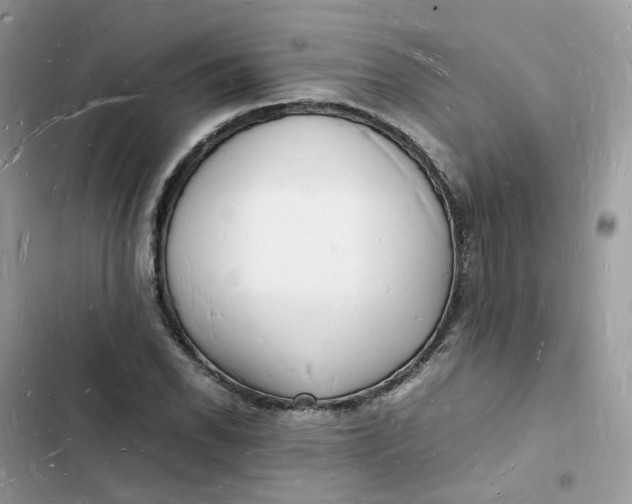 X0000103291118200809191823