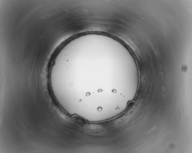 X0000103291119200809191823