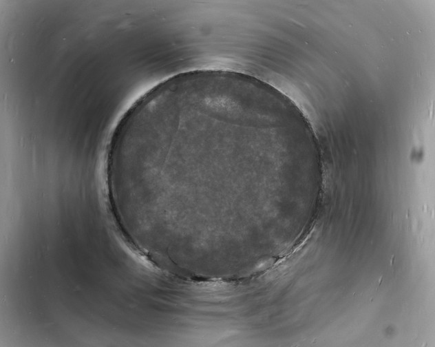 X0000103291120200809191823