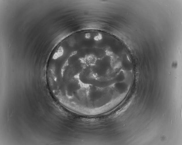 X0000103291121200809191823