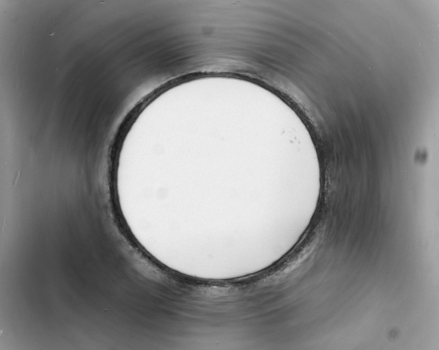 X0000103291122200809191823