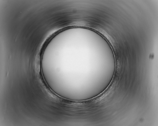 X0000103291123200809191823