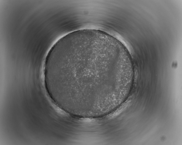 X0000103291124200809191823