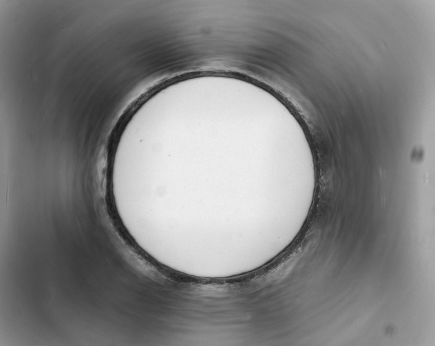 X0000103291126200809191823