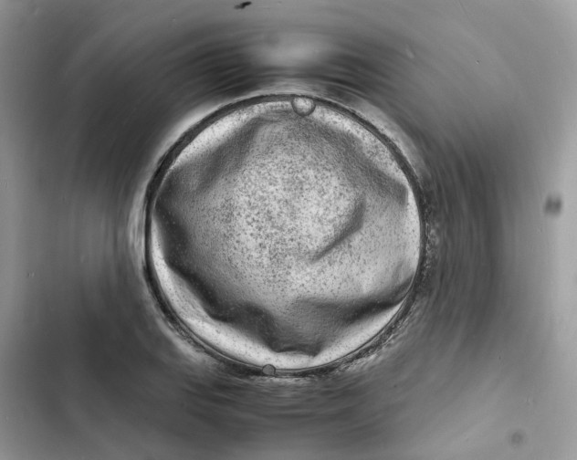 X0000103291127200809191823