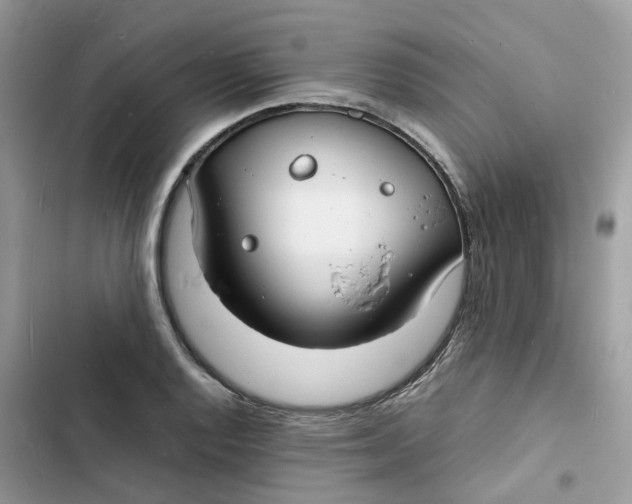 X0000103291128200809191823