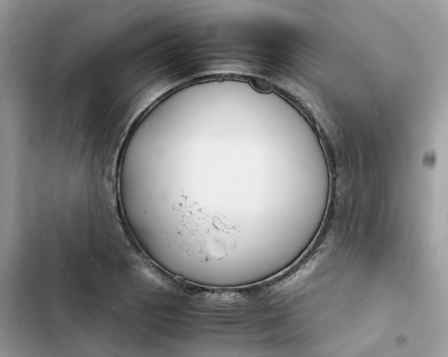 X0000103291129200809191823