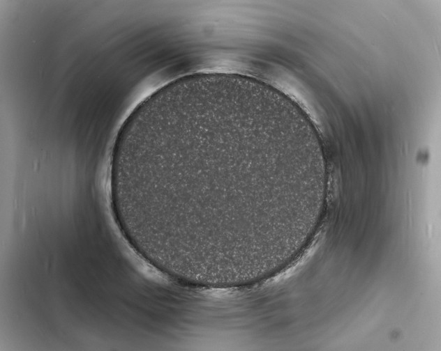 X0000103291130200809191823