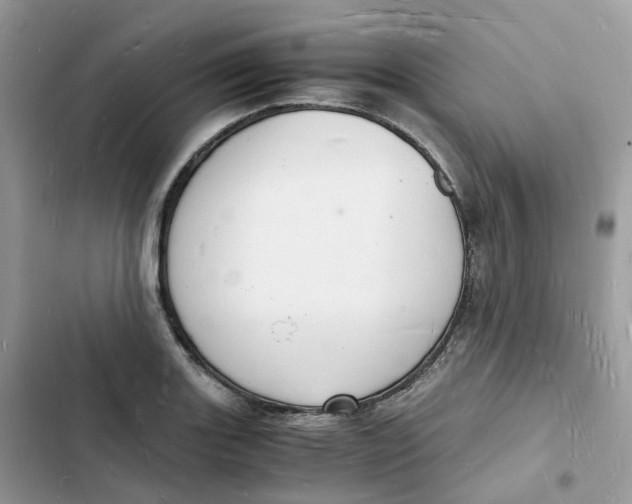 X0000103291131200809191823