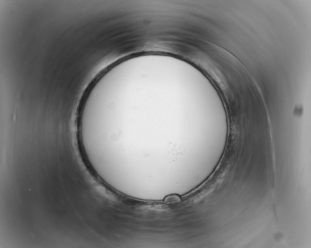 X0000103291133200809191823