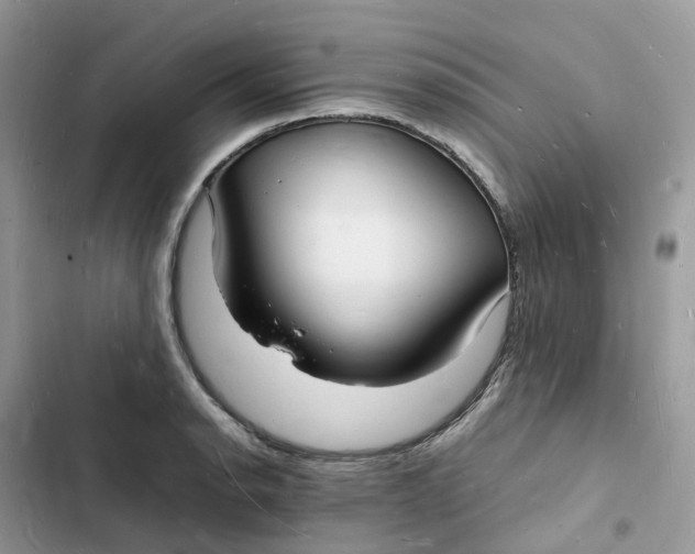 X0000103291134200809191823