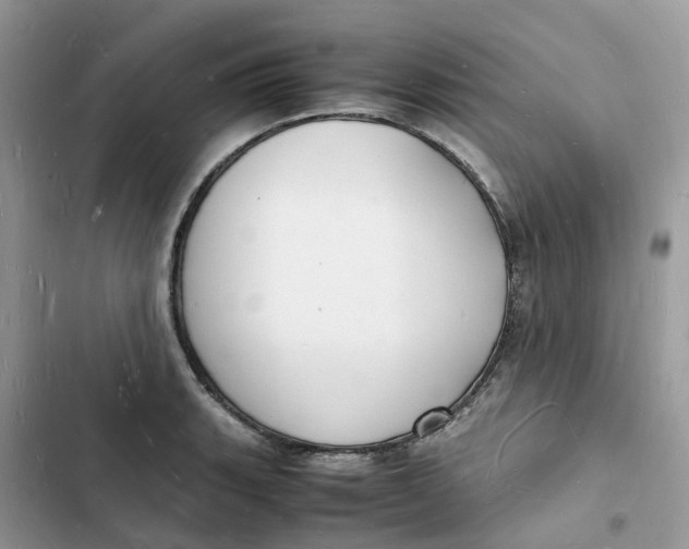 X0000103291135200809191823