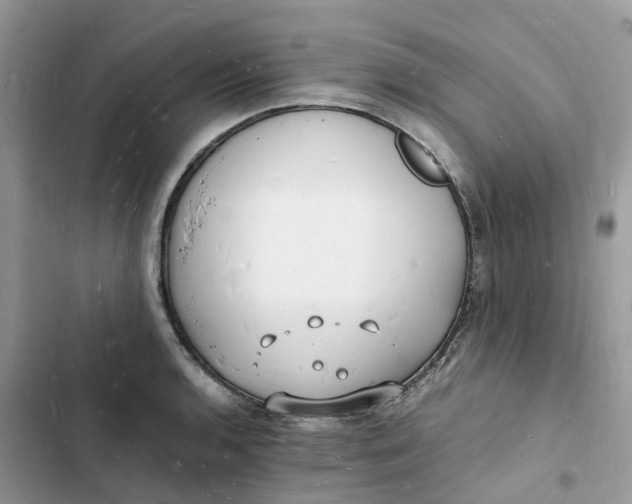 X0000103291136200809191823