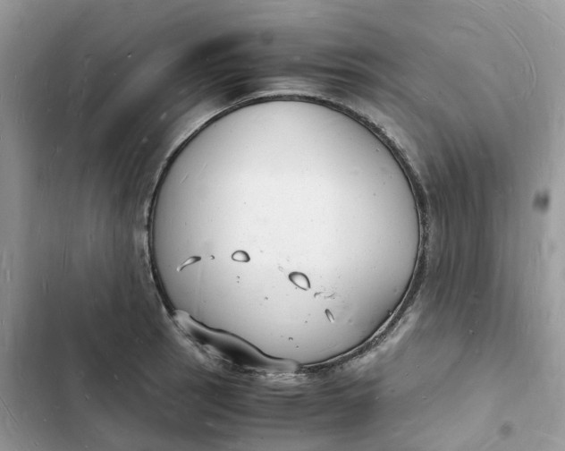 X0000103291137200809191823