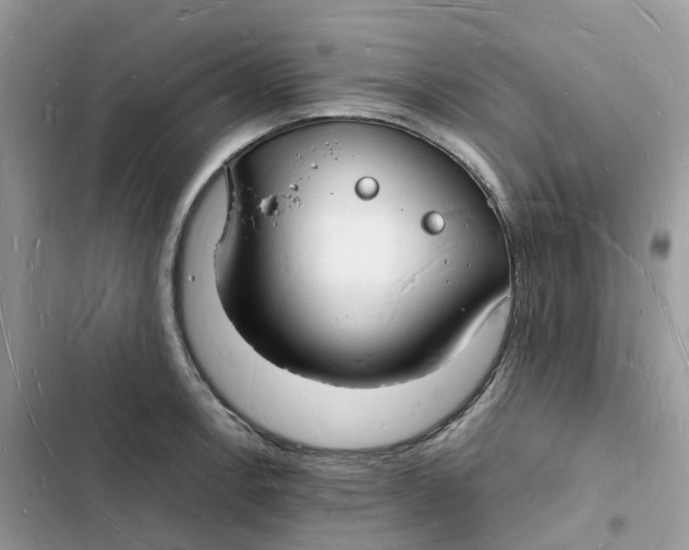 X0000103291138200809191823