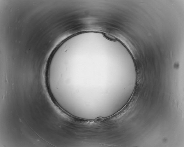 X0000103291139200809191823