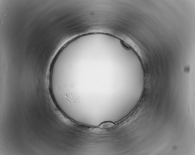 X0000103291140200809191823