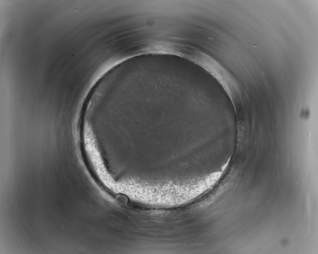 X0000103291141200809191823