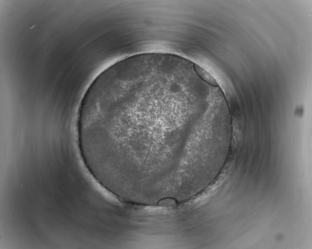 X0000103291142200809191823